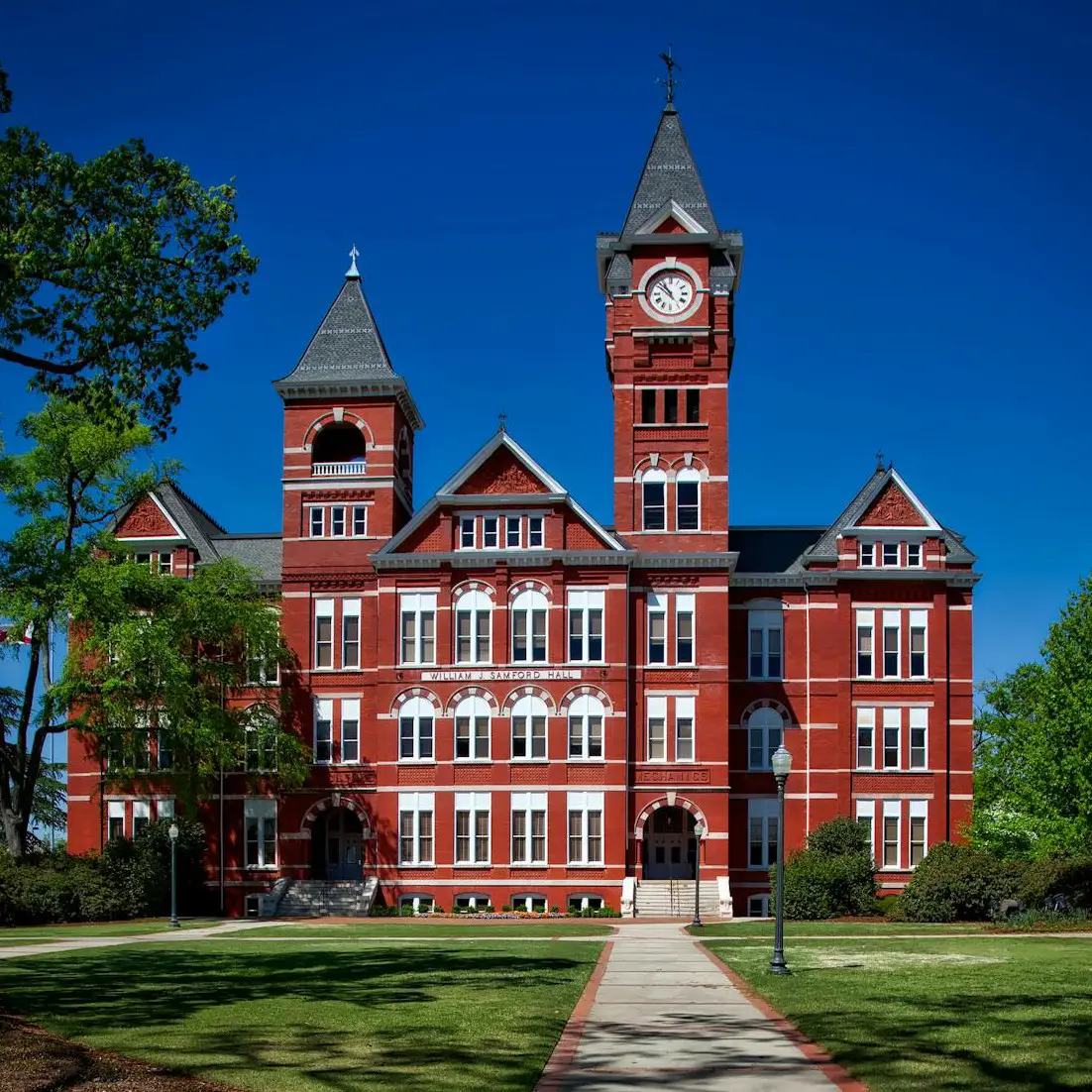 ✅ Colleges & Vocational Training Institutes